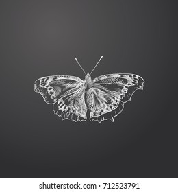 Hand Drawn Butterfly Sketch Symbol isolated on chalkboard. Vector Butterfly Element In Trendy Style