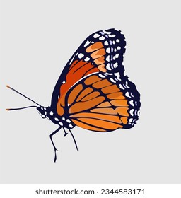 hand drawn butterfly vector design