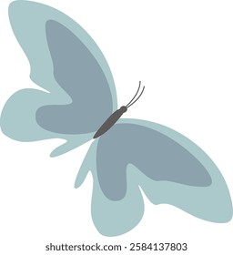 Hand Drawn Butterfly Vector Illustration