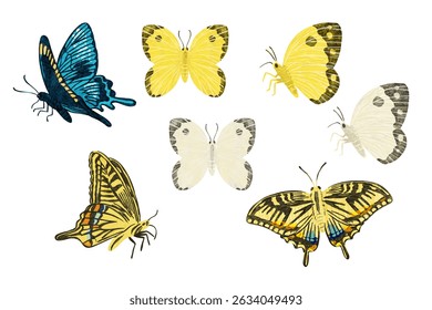 Ilustración vectorial de mariposa dibujada a mano