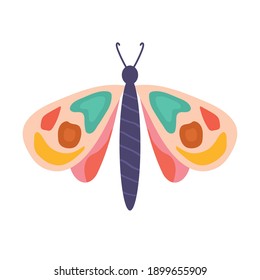 mariposa dibujada a mano en un diseño de ilustración vectorial de fondo blanco