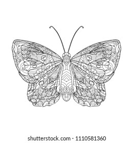 Hand drawn butterfly  in zentangle inspired style isolated on white background. Coloring book for adult and older children. Art vector stylized illustration. 