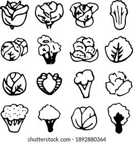 Hand drawn cabbage illustration set.