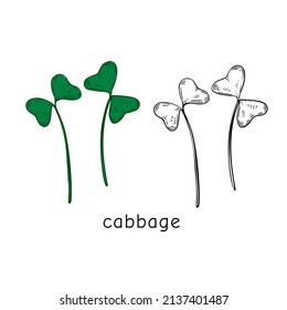 Microverduras de col dibujadas a mano. Ilustración vectorial en el estilo de esbozo aislado en fondo blanco