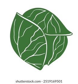 Planta vegetal de repollo dibujada a mano en diseño de linóleo. Ilustración vectorial aislada 