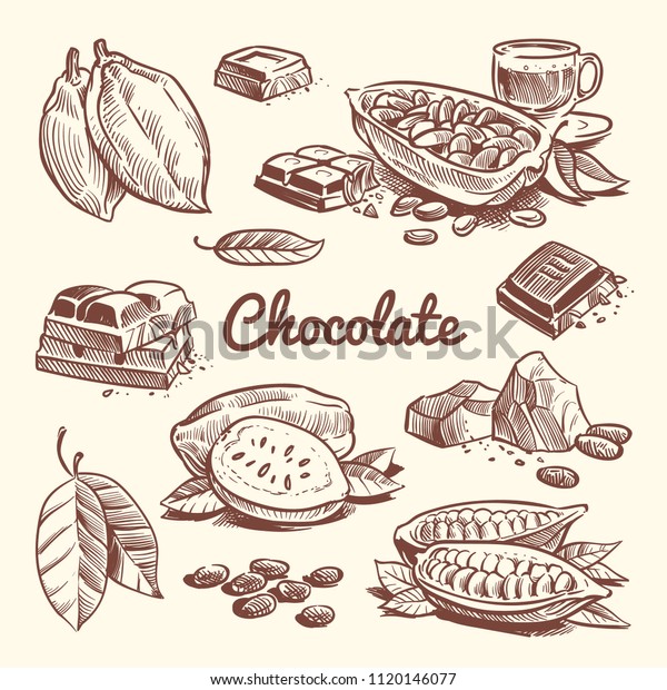 手描きのカカオ 葉 ココアの種 甘いデザート チョコレートバー ココアスケッチのベクター画像コレクション チョコレート菓子を描く スケッチ茶色の豆の具 イラスト のベクター画像素材 ロイヤリティフリー