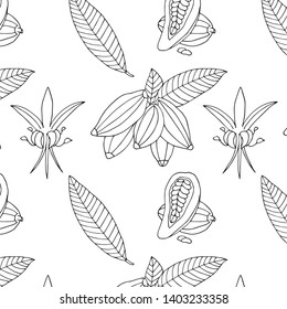 Hand drawn cacao pattern. Natural line vector background of the cacao beans, flowers.