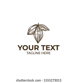 hand drawn cacao vector illustration