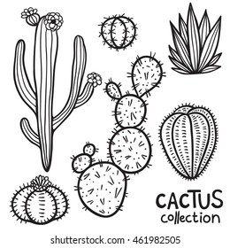 Hand drawn cacti abstract natural collection in black and white.