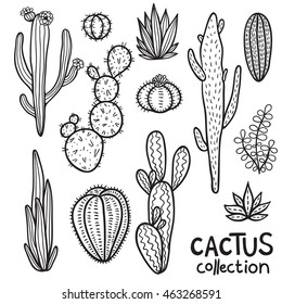 Hand drawn cacti abstract natural collection in black and white.