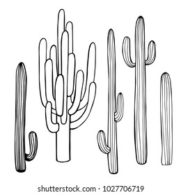 Hand Drawn Cacti Vector Sketch Illustration Stock Vector (Royalty Free ...