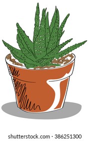  hand drawn cactus