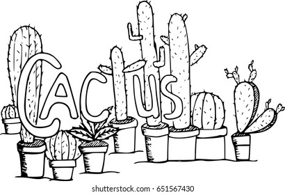 Hand drawn cactus
