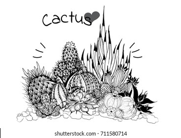 hand drawn cactus