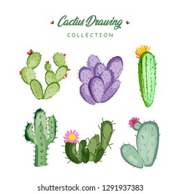 Hand Drawn Cactus Collection