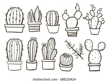Hand drawn cactus collection