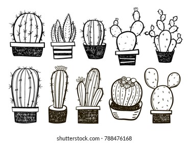 Hand drawn cactus collection
