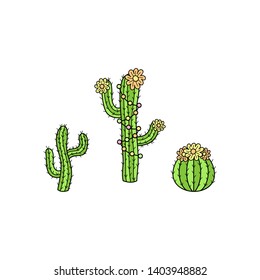 Hand drawn cactus collection. Cute outlined vector illustrations of cactus plants with flowers and decorations. Isolated.