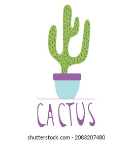 Hand drawn cactus in a colourful ceramic pot, doodle style, isolated on a white background. Vector illustration