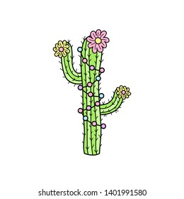 Hand drawn cactus. Cute outlined vector illustration of cactus plant with flowers and decorations. Isolated.