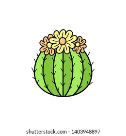 Hand drawn cactus. Cute outlined vector illustration of cactus plant with flowers. Isolated.