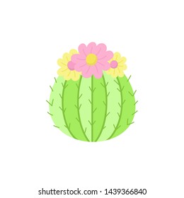 Hand drawn cactus. Cute vector illustration of round cactus plant with flowers. Isolated.