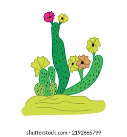 Cactus despojados a mano en el desierto bajo el sol aislados