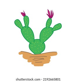 Cactus despojados a mano en el desierto bajo el sol aislados