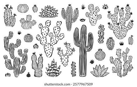 Hand drawn cactus doodle set. Collection of cute cartoon cactus houseplant illustrations in black and white vintage style. Isolated nature desert flora element