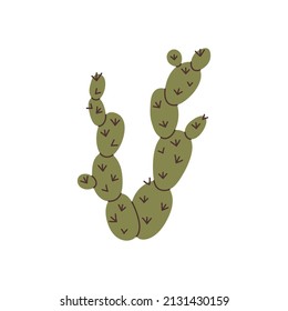 Hand drawn cactus element for your design