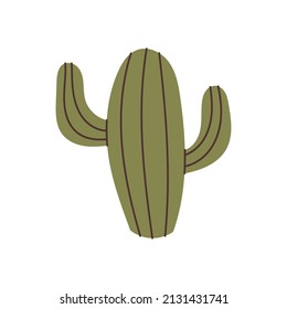 Hand drawn cactus element for your design
