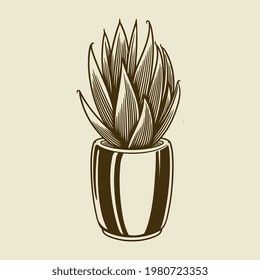 Hand drawn cactus in engraved style. House cactus in the pot vintage isolated design element. Vector illustration doodle sketch. Can be used for cards, home decor or sticker