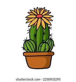 Hand drawn cactus with flower in the pot isolated on white background.