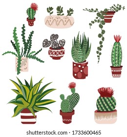 Hand drawn Cactus with flowers and succulent in pots. Set of  Cute Houseplant. Aloe Vera, cacti and another tropical floral. Haworthia, Agave and modern elements for home decor.