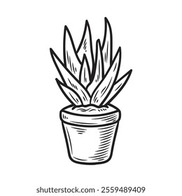 Hand Drawn Cactus Illustration Colorless - 06