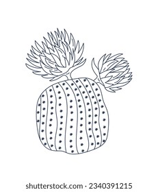 hand drawn cactus illustration. Vector Illustration. cacti with flowers. Set of cactuses. isolated on white background. cactus outline sketch. cactus drawing. cactus plants line art background.