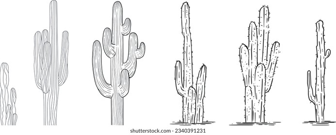 ilustración de cactus dibujada a mano. Ilustración vectorial. cactus con flores. Conjunto de cactús. aislado de fondo blanco. esbozo de contorno de cactus. dibujo de cactus. las plantas de cactus bordean el fondo del arte.