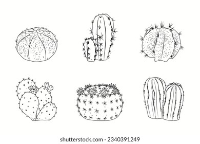hand drawn cactus illustration. Vector Illustration. cacti with flowers. Set of cactuses. isolated on white background. cactus outline sketch. cactus drawing. cactus plants line art background.