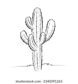 hand drawn cactus illustration. Vector Illustration. cacti with flowers. Set of cactuses. isolated on white background. cactus outline sketch. cactus drawing. cactus plants line art background.