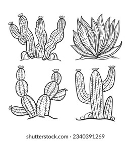 ilustración de cactus dibujada a mano. Ilustración vectorial. cactus con flores. Conjunto de cactús. aislado de fondo blanco. esbozo de contorno de cactus. dibujo de cactus. las plantas de cactus bordean el fondo del arte.