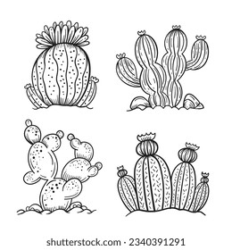 hand drawn cactus illustration. Vector Illustration. cacti with flowers. Set of cactuses. isolated on white background. cactus outline sketch. cactus drawing. cactus plants line art background.
