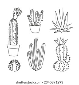hand drawn cactus illustration. Vector Illustration. cacti with flowers. Set of cactuses. isolated on white background. cactus outline sketch. cactus drawing. cactus plants line art background.