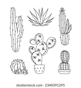hand drawn cactus illustration. Vector Illustration. cacti with flowers. Set of cactuses. isolated on white background. cactus outline sketch. cactus drawing. cactus plants line art background.