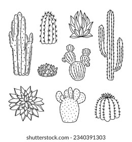 hand drawn cactus illustration. Vector Illustration. cacti with flowers. Set of cactuses. isolated on white background. cactus outline sketch. cactus drawing. cactus plants line art background.