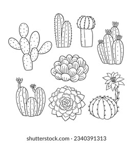 hand drawn cactus illustration. Vector Illustration. cacti with flowers. Set of cactuses. isolated on white background. cactus outline sketch. cactus drawing. cactus plants line art background.