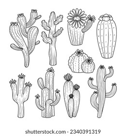 hand drawn cactus illustration. Vector Illustration. cacti with flowers. Set of cactuses. isolated on white background. cactus outline sketch. cactus drawing. cactus plants line art background.