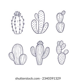 hand drawn cactus illustration. Vector Illustration. cacti with flowers. Set of cactuses. isolated on white background. cactus outline sketch. cactus drawing. cactus plants line art background.