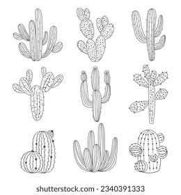 hand drawn cactus illustration. Vector Illustration. cacti with flowers. Set of cactuses. isolated on white background. cactus outline sketch. cactus drawing. cactus plants line art background.