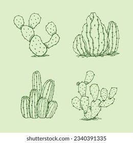 ilustración de cactus dibujada a mano. Ilustración vectorial. cactus con flores. Conjunto de cactús. aislado de fondo blanco. esbozo de contorno de cactus. dibujo de cactus. las plantas de cactus bordean el fondo del arte.
