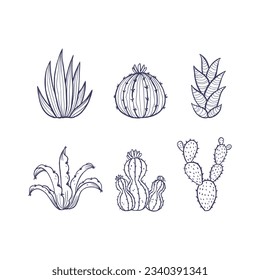 hand drawn cactus illustration. Vector Illustration. cacti with flowers. Set of cactuses. isolated on white background. cactus outline sketch. cactus drawing. cactus plants line art background.